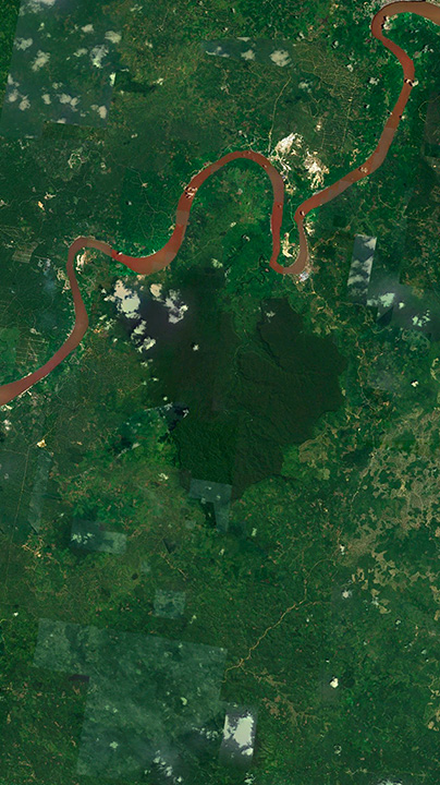 The Impact Of Deforestation