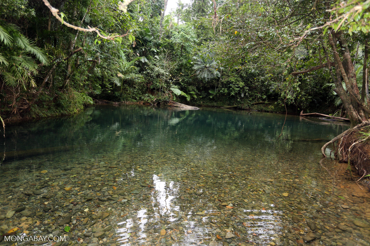 Daintree swimming hole [australia_daintree_303]