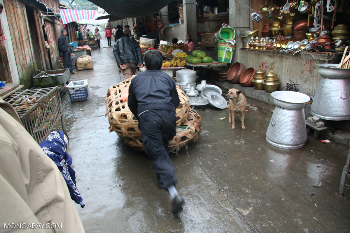 Man Pushing A Basket Full Of Chickens At The Market In Deqin