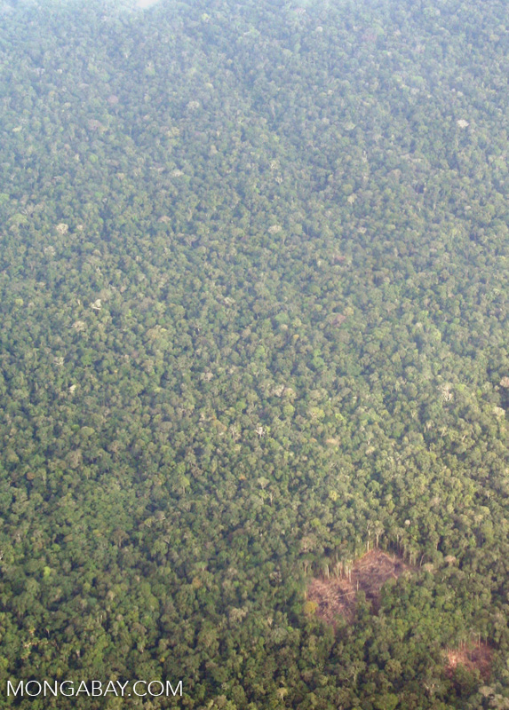 Aerial view of likely indigenous forest clearing in the Amazon