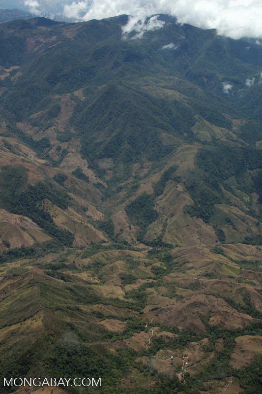Aerial view of deforestation on mountainous