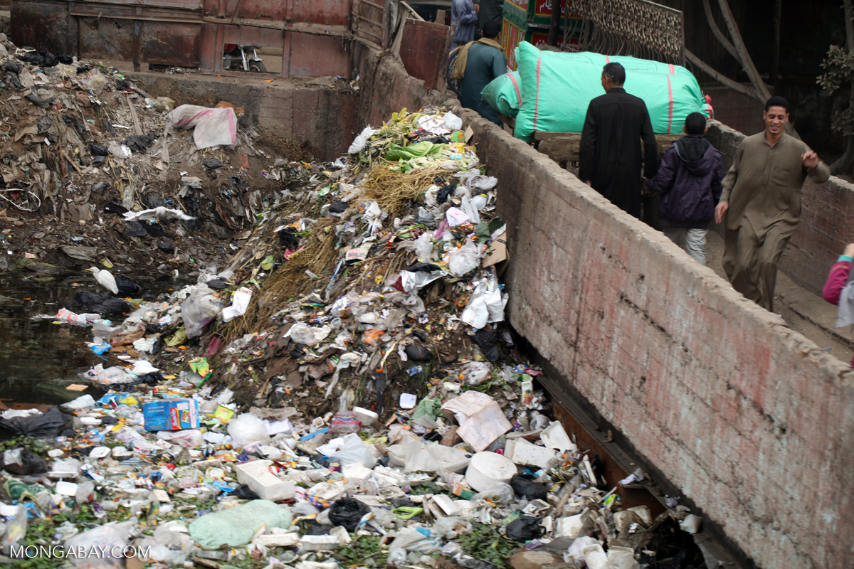 Garbage in Cairo [egypt_1901]