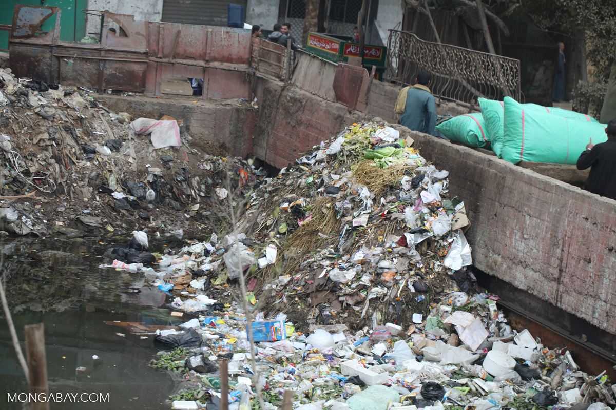 Piles of garbage in Cairo