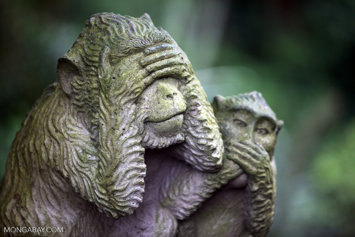 Monkey statue subject covering its eyes