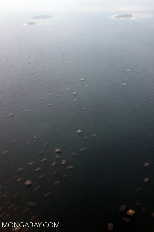 Roads on islands near Sumatra