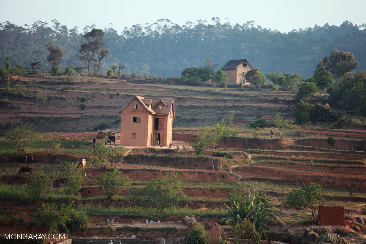Home amid terraced rice fields in Madagascar's Central Plateau