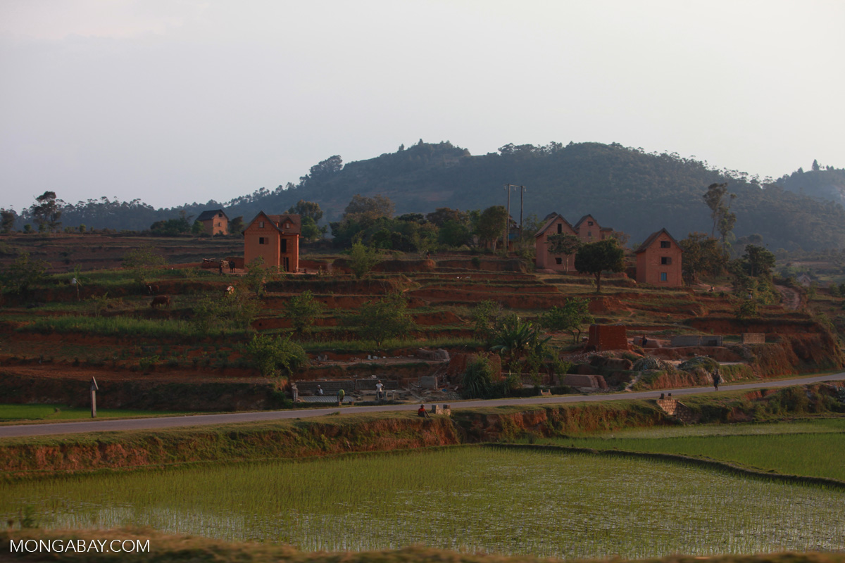Village amid terraced rice fields in Madagascar's Central Plateau