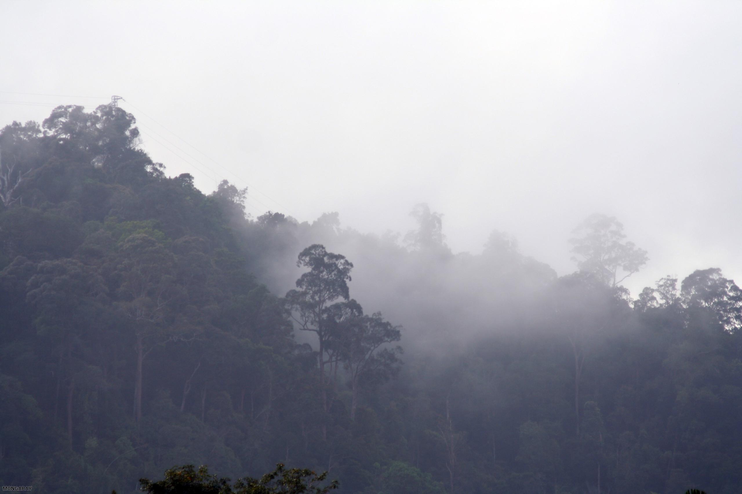 Jungle Ridge Steam rising off jungle ridge in Malaysia