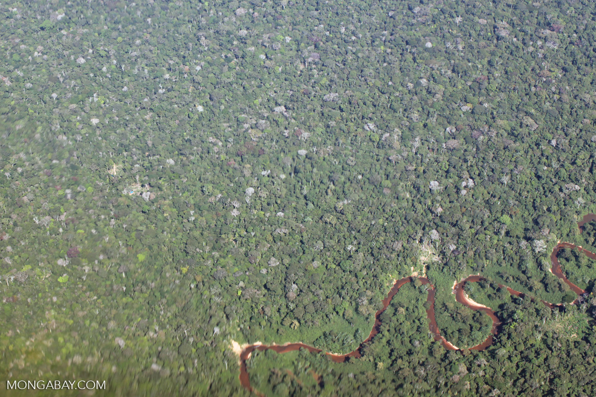 Aerial view of the Amazon rainforest