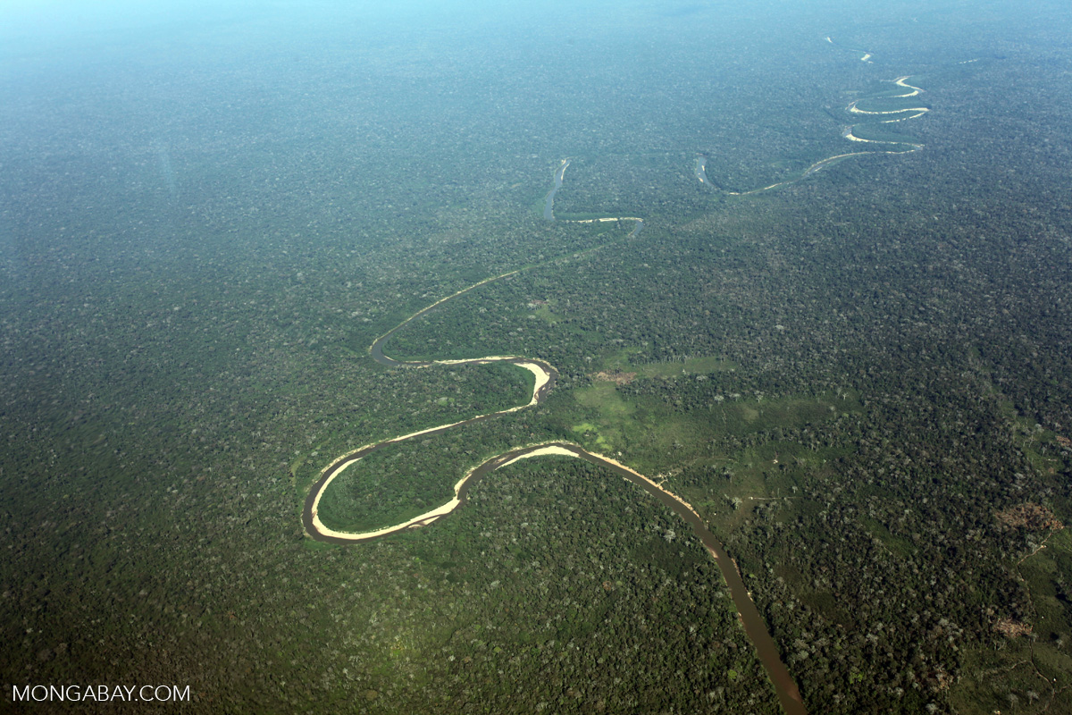 Rainforest river and forest clearing in the Peruvian Amazon [peru