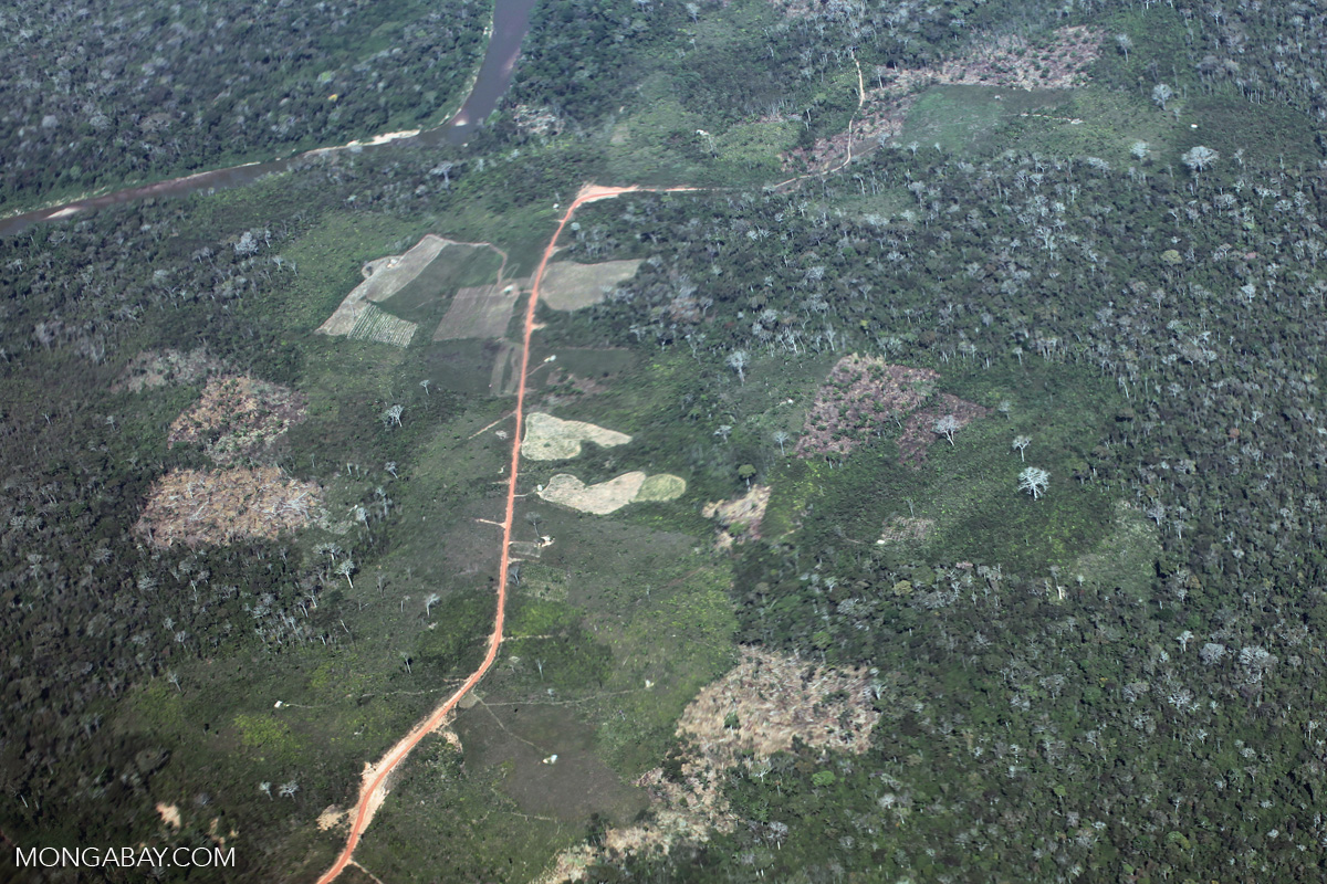 Aerial photography of deforestation in the Peruvian Amazon [peru_aerial ...
