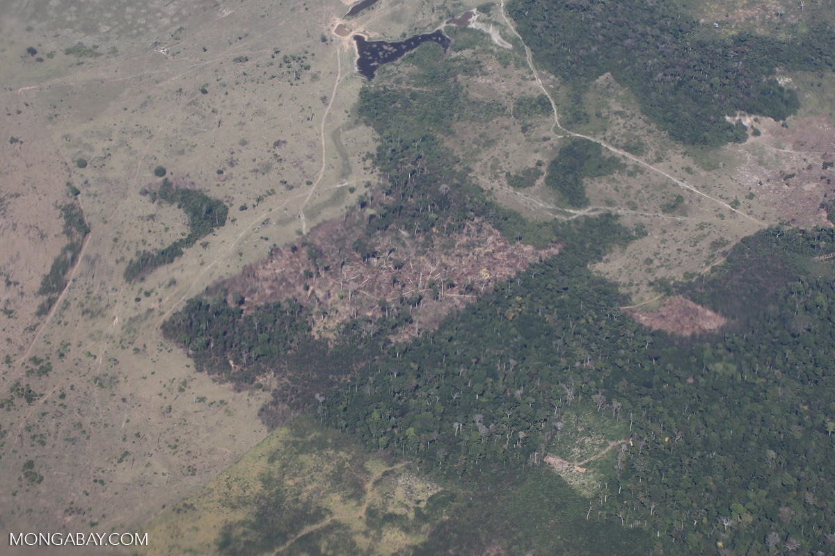 Overhead view of large-scale deforestation for ranching in the Peruvian ...
