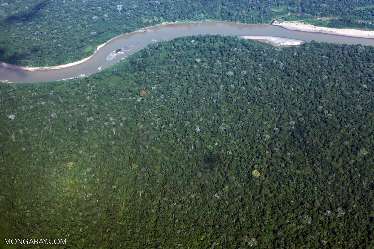 Airplane view of Amazon basin forest