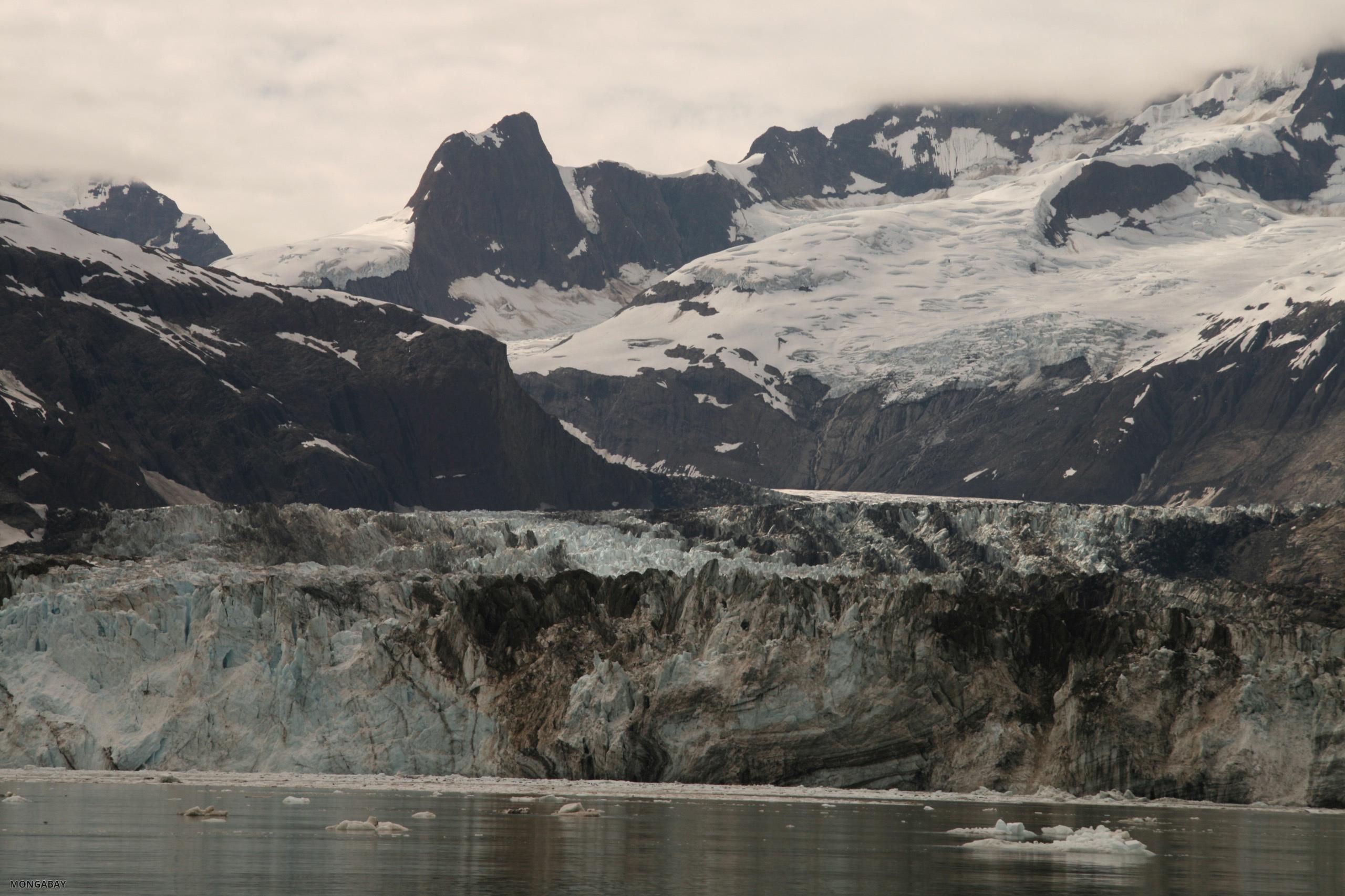 Johns Hopkins Glacier