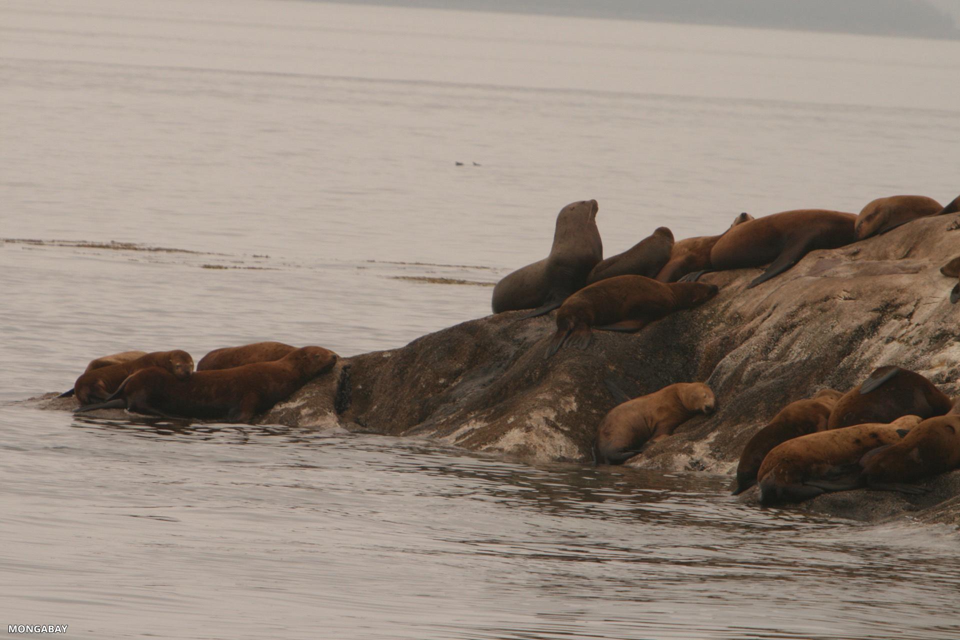 south_marble_island_5065