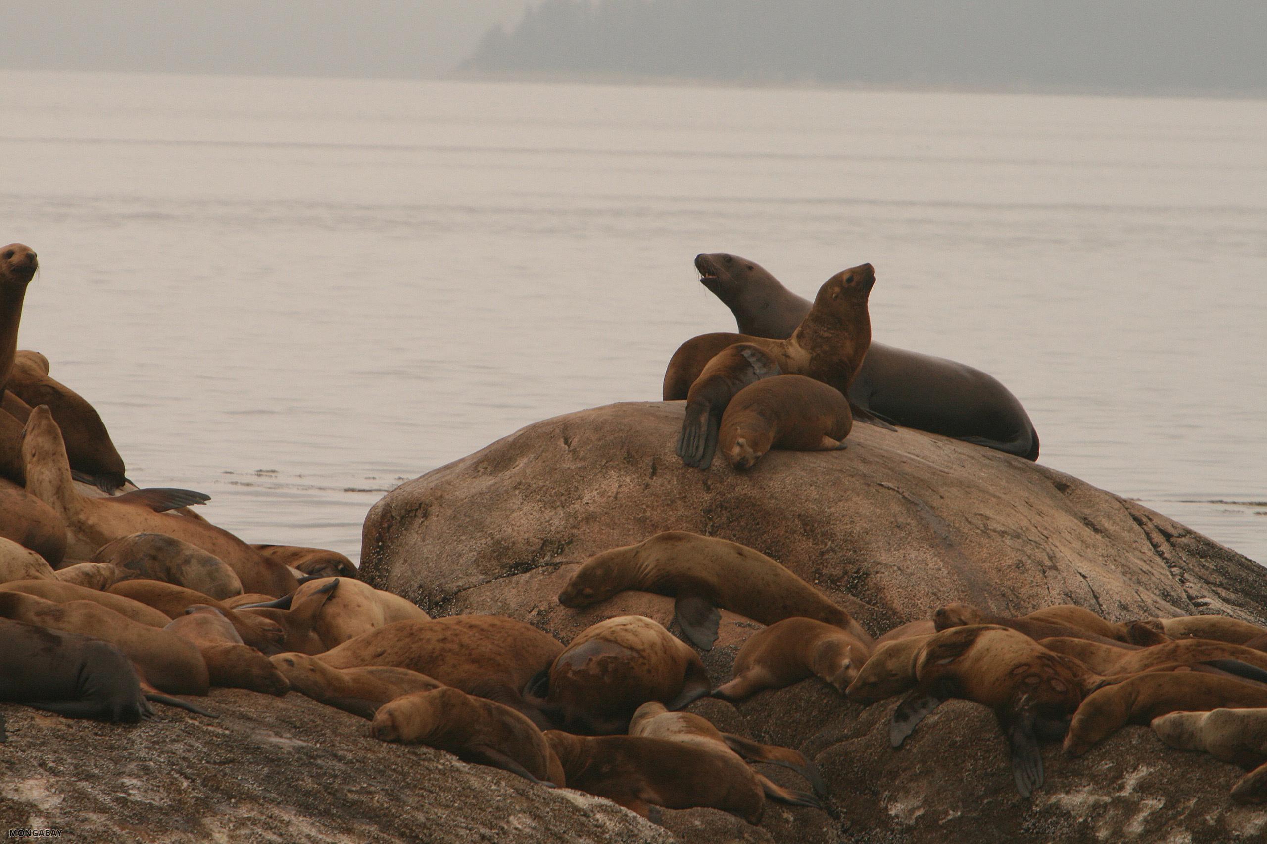 south_marble_island_5073