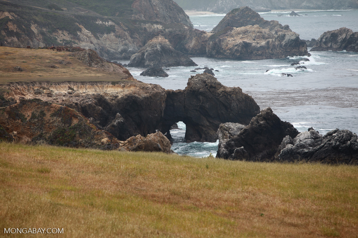 Natural rock bridge formation near Rocky Creek Bridge, Big Sur