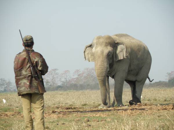 Deepak Saikia, a forest guard at Kaziranga having a 