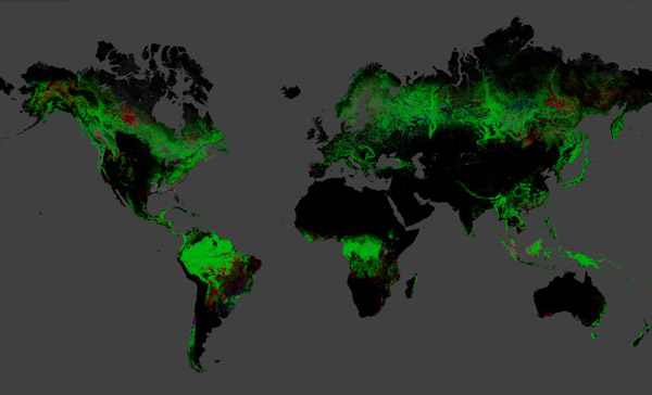 Global forest map