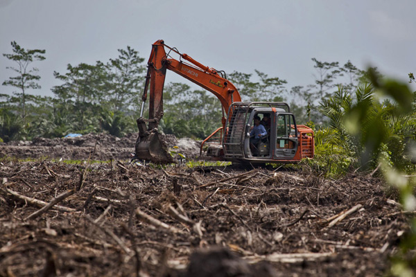 Desmonte para plantaciones de aceite de palma cerca del Parque Nacional de Tanjung Puting. Una excavadora construye un canal en una zona recientemente desmontada en una concesión de aceite de palma perteneciente a PT Andalan Sukses Makmur (PT ASMR), una subsidiaria de Bumitama Agri Ltd. El área está cerca del pueblo Kumai Seberang, al lado del Parque Nacional de Tanjung Puting en Kalimantan Central.