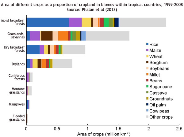 Area of different crops as a proportion of cropland in biomes within tropical countries, 1999-2008.