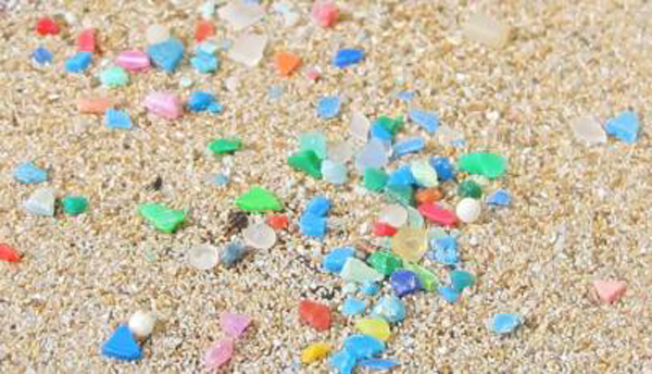 Microplastics. Credit: Current Biology, Wright et al.