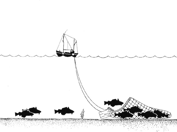 Trawl net used in fishing