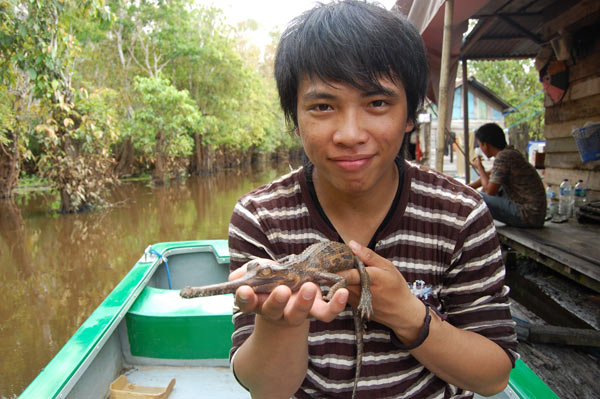 Field assistant Jacksen Londah with a Tomistoma.  Photo courtesy of REA Conservation.