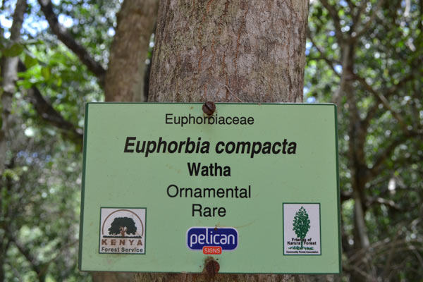 A signpost to show replanting efforts. Photo credit: Protus Onyango.