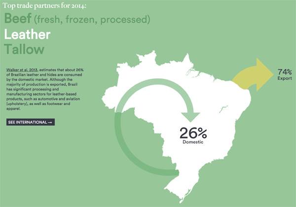 Destination of Brazilian cattle products