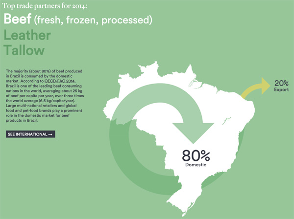 Export of Brazilian cattle products