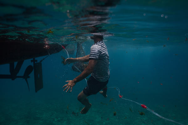 A young Vietnamese fisherman jumps into the water to untangle his net near Lý Sơn Island. Pressure from Chinese patrol boats has forced local fishermen to work closer to shore, devastating fish populations near the Vietnamese coast. 