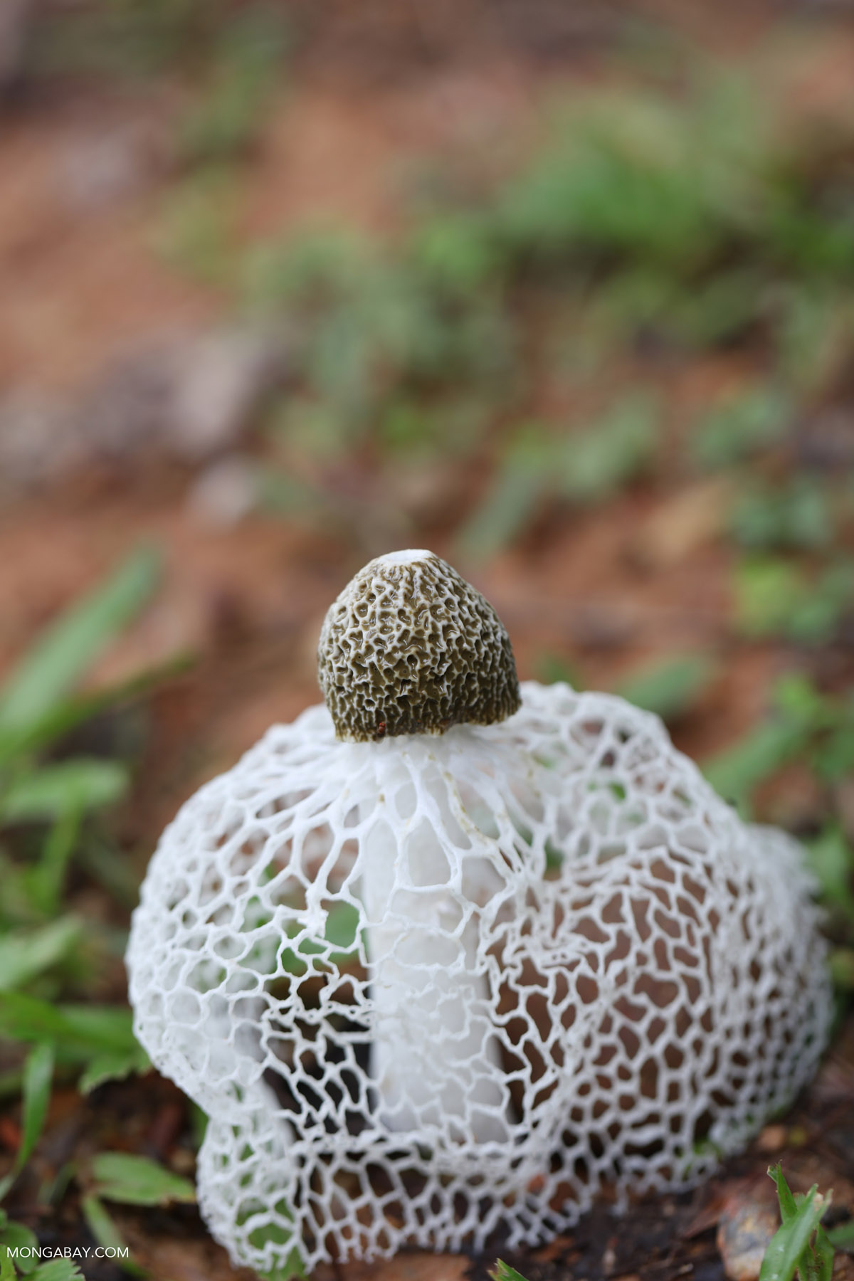 china_2015_0647
