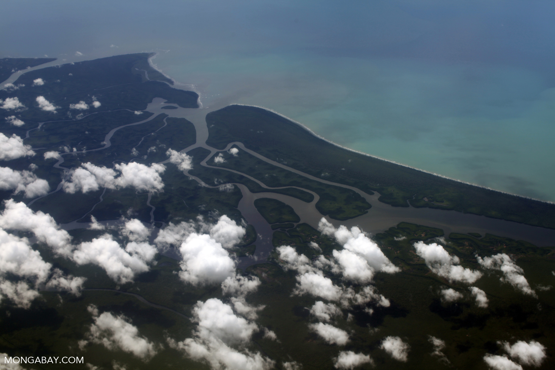 Aerial view of a jungle river delta in New Guinea