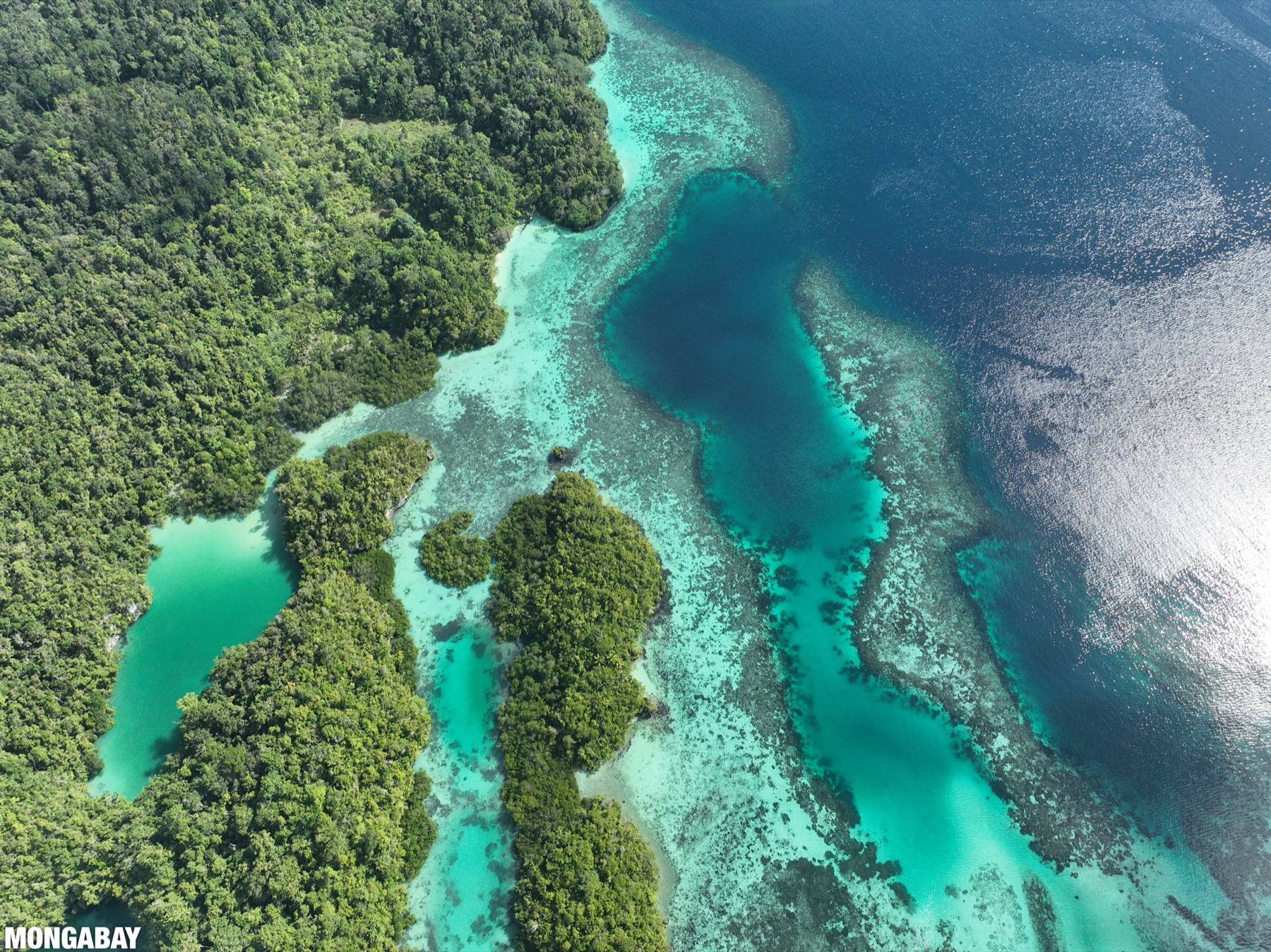 Raja ampat 230052