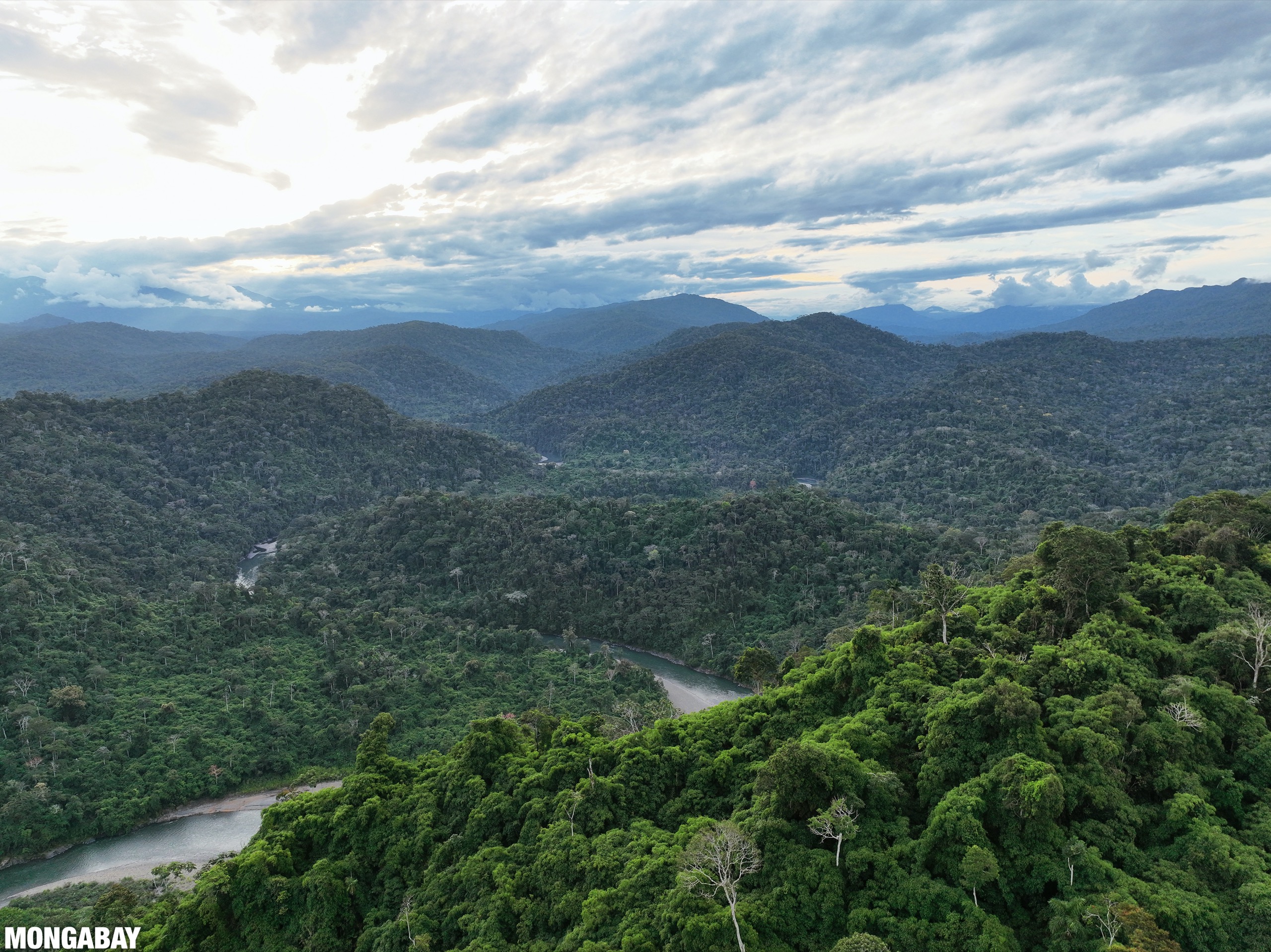 Amazon rainforest