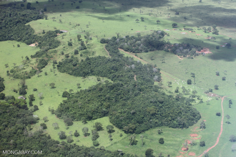 Cattle ranching in the Brazilian Amazon [brazil_0291]