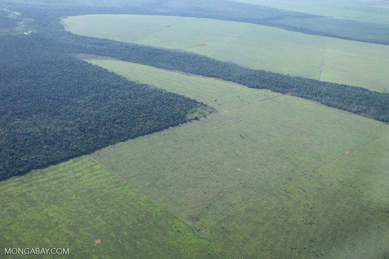 Patchwork of legal forest reserves, pasture, and soy farms in the Brazilian Amazon [brazil_0632]
