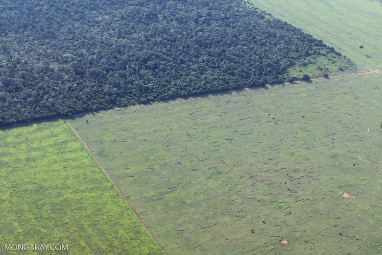 Patchwork of legal forest reserves, pasture, and soy farms in the Brazilian Amazon [brazil_0634]