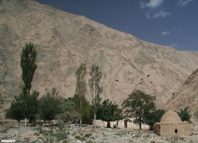 Tajik tombs