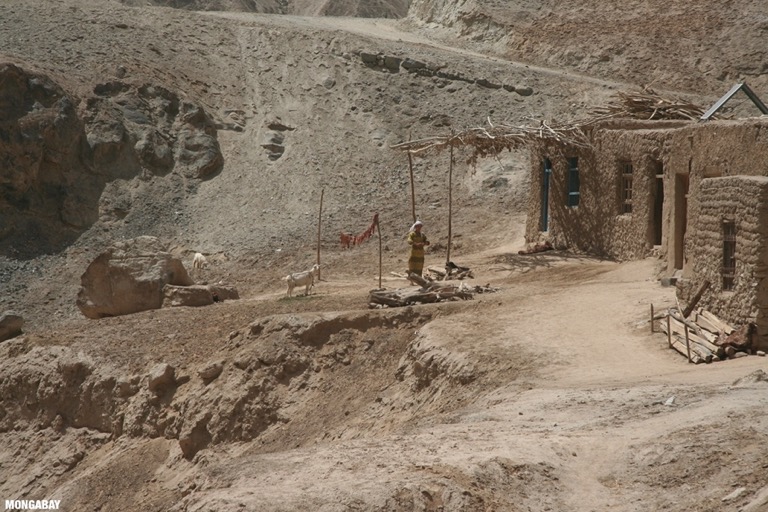 Tajik woman doing laundry
