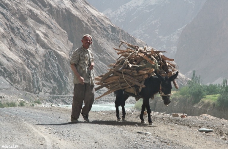 Man crossing a road with a donkey