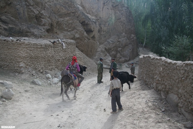Activity on Datong's road