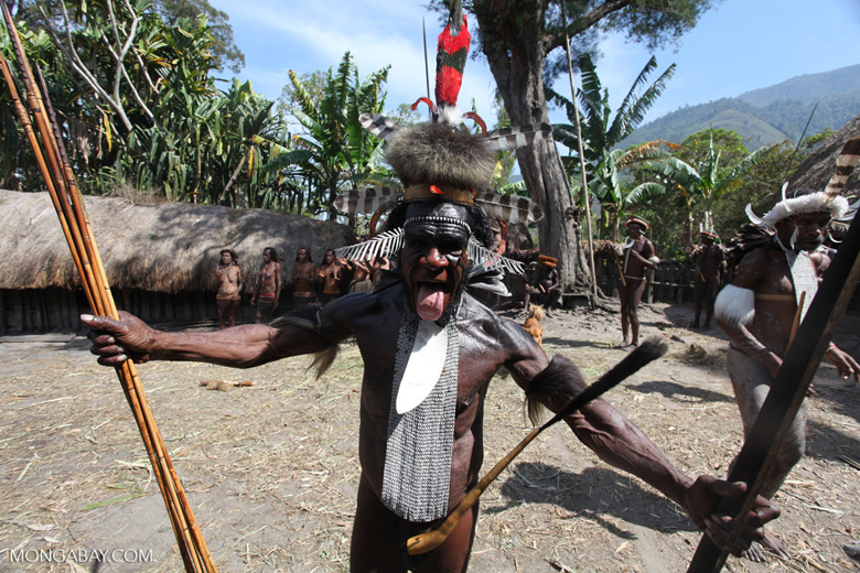 Dani elder in traditional dress [papua_0412]