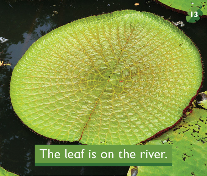 The leaf is on the river.