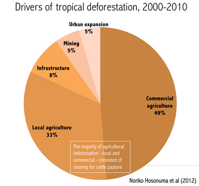 pie chart showing causes of tropical deforestation / drivers of rain forest destruction