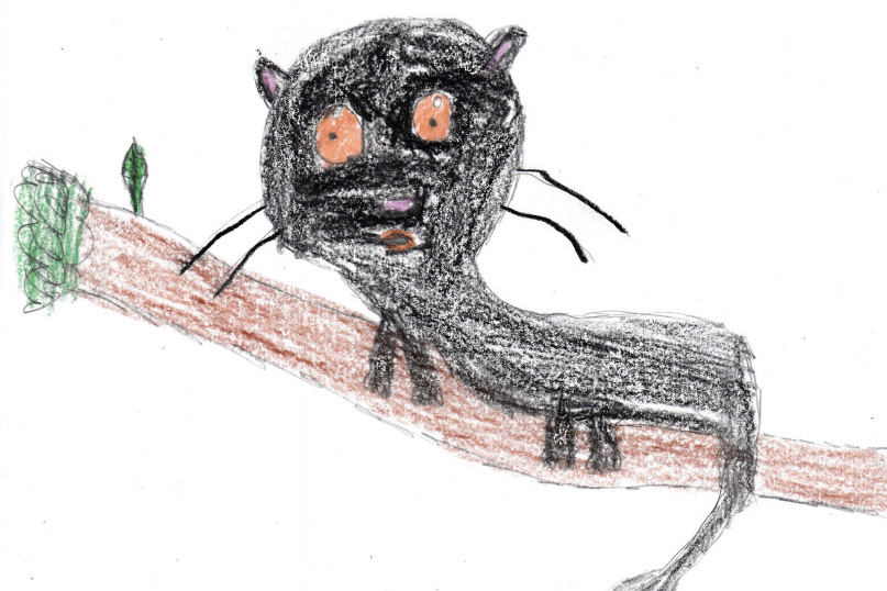 Gray Mouse Lemur