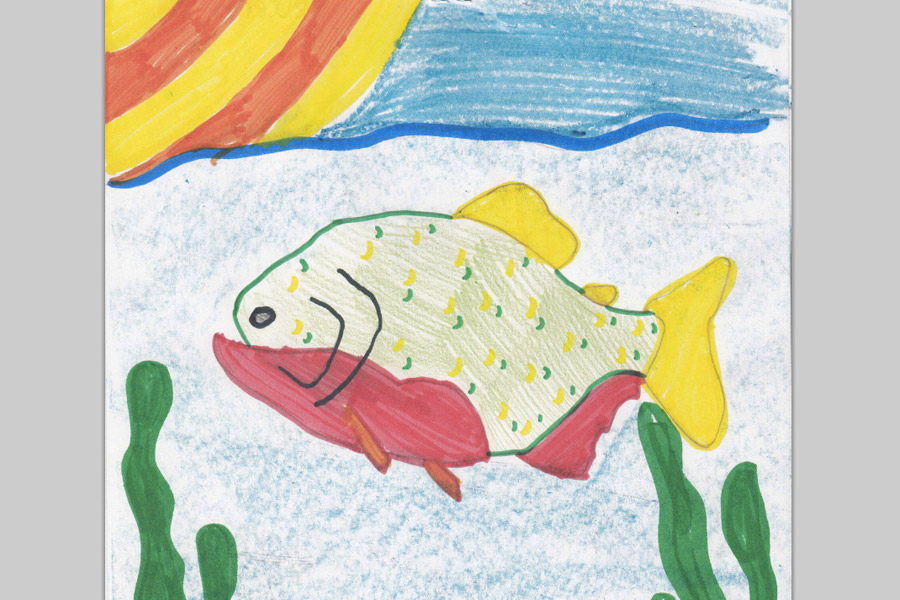 Piranha food web