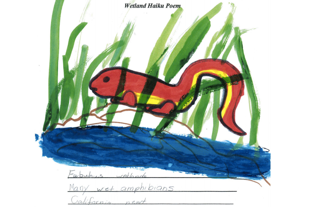 Student sample: newt haiku