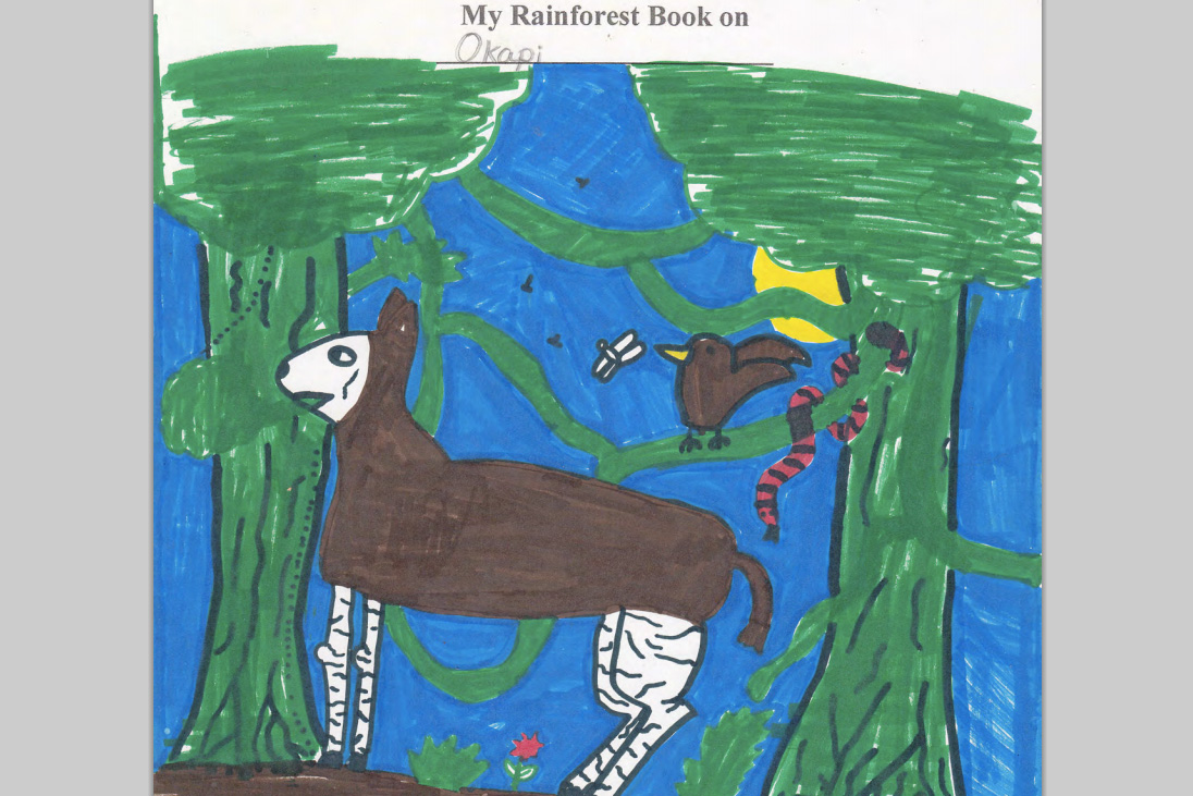 Student animal book on the okapi